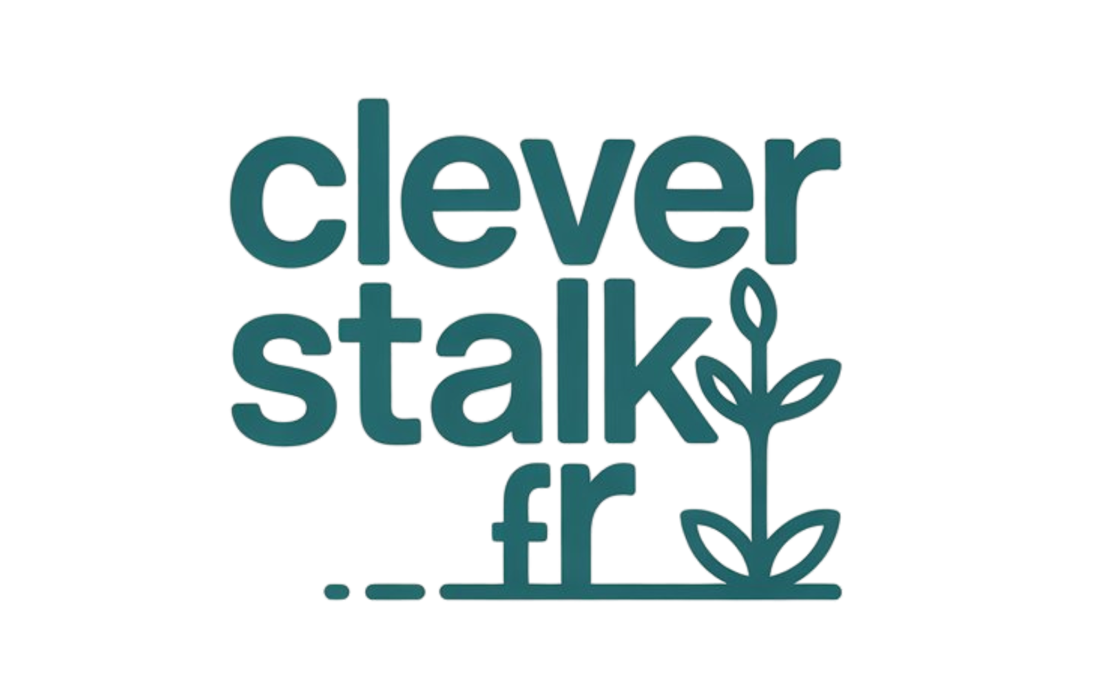 cleverstalk.com