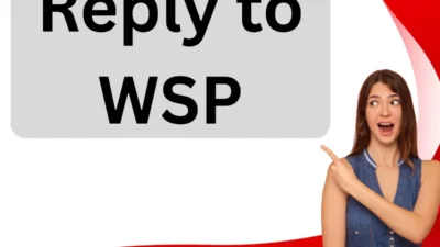 Reply to WSP